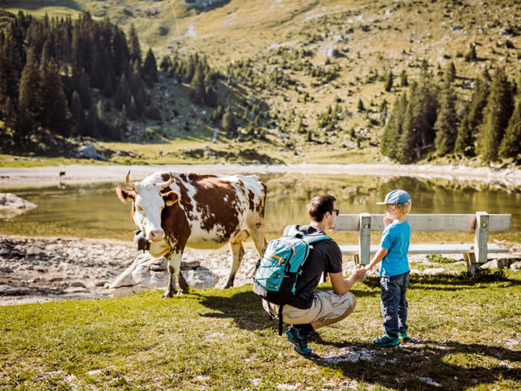 Aktivitäten Ausflüge Angebote für Familien Naturpark Gantrisch Bern Berner Voralpen Alp Bire (c) Switzerland Tourism-BAFU