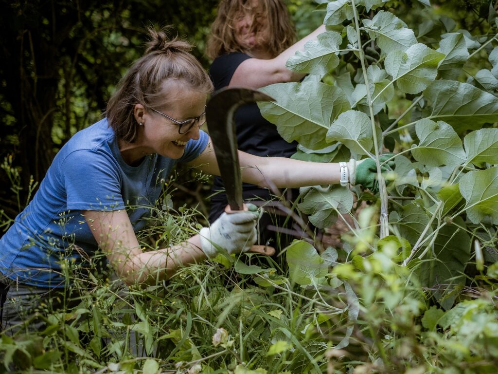 Im Corporate Volunteering Einsatz für die Natur im Bannholz