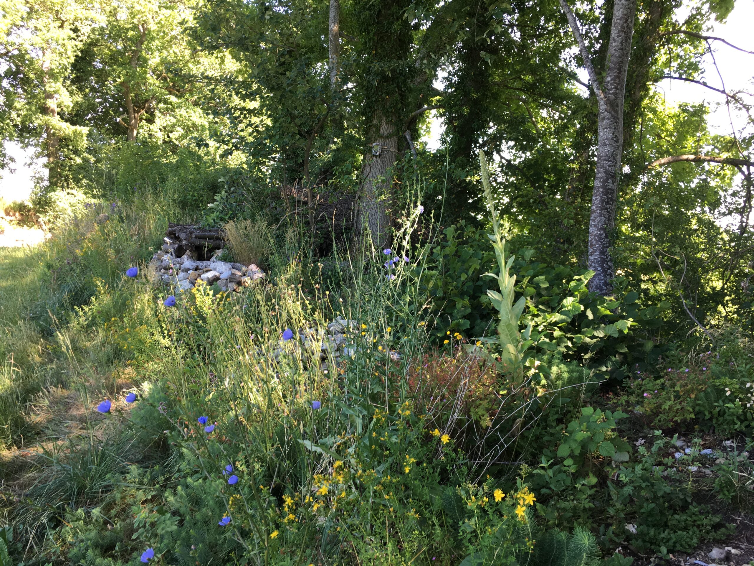 Hecke