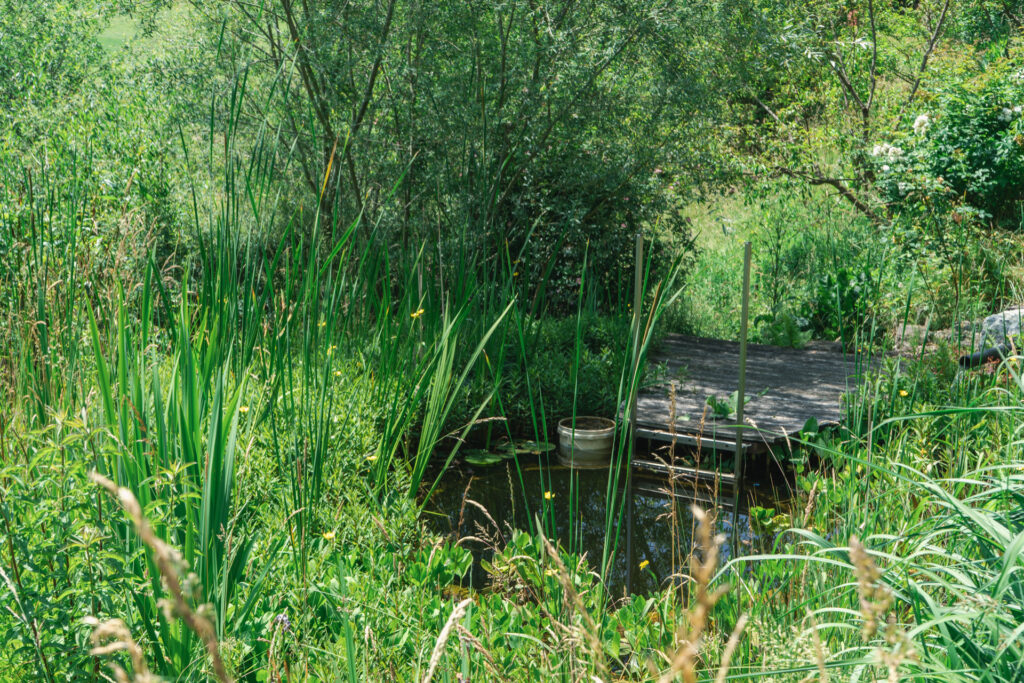 Kleiner Teich