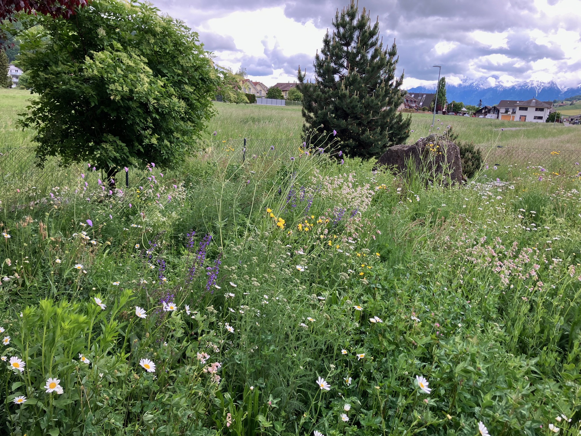 Garten im Gürbetal