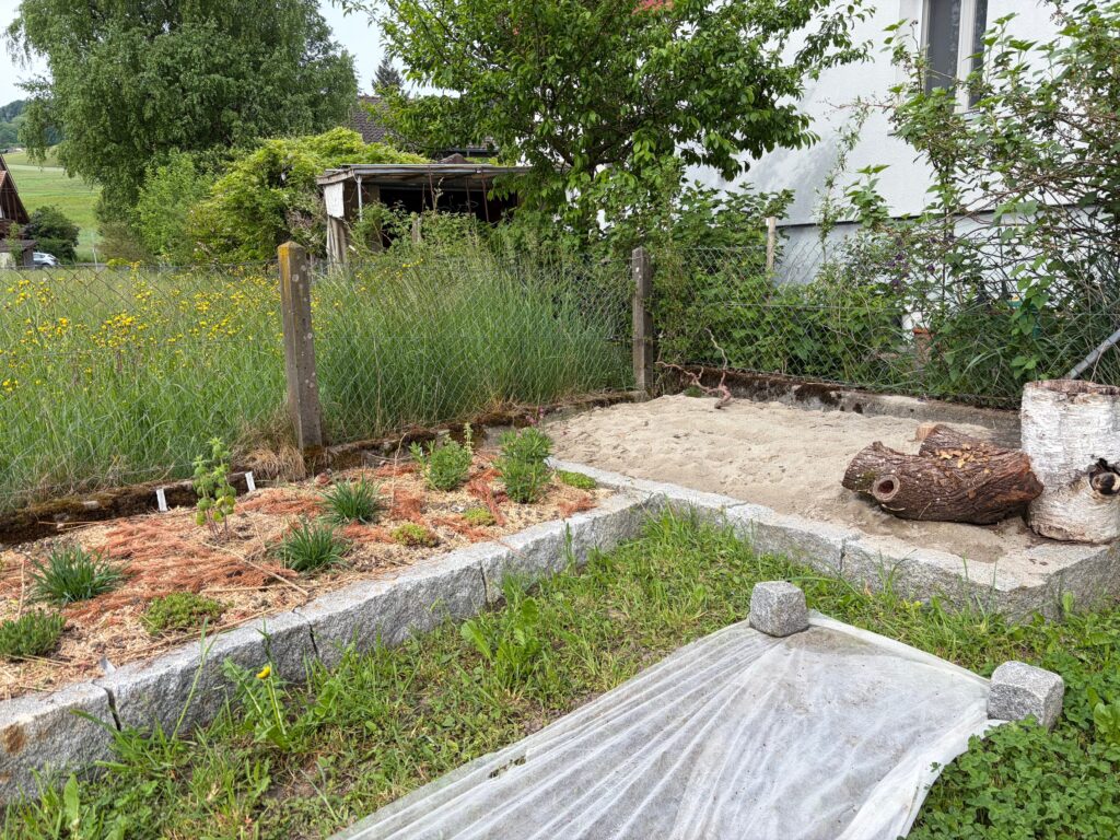 Kaufdorf Sanlinse für Wildbienen