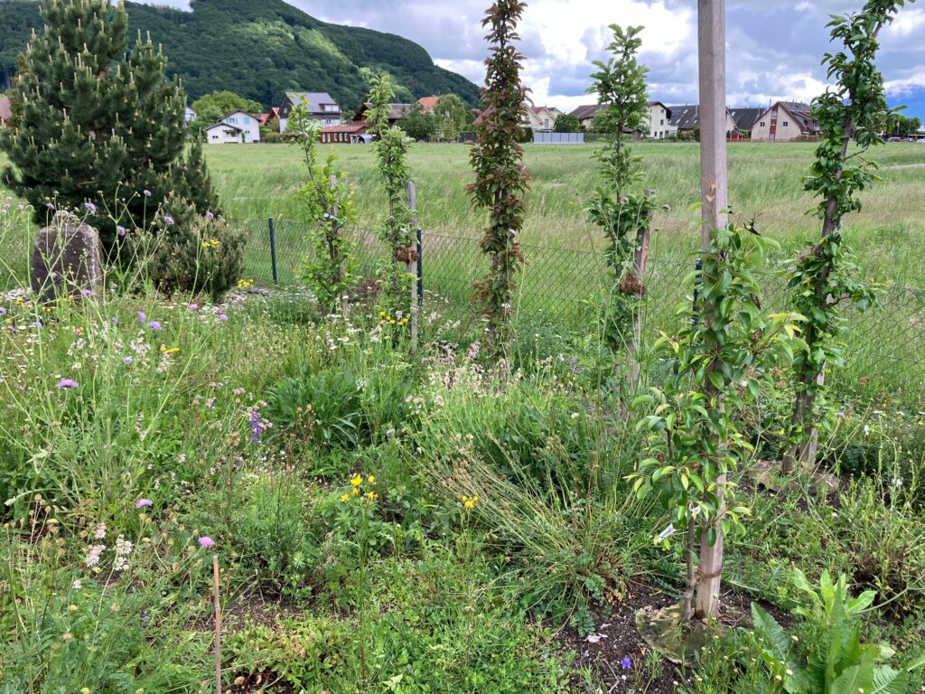 Garten in Toffen