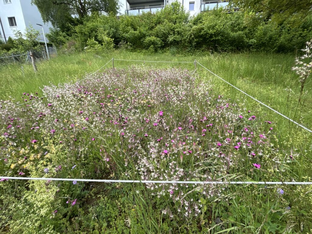Garten in Toffen kirchliches Zentrum