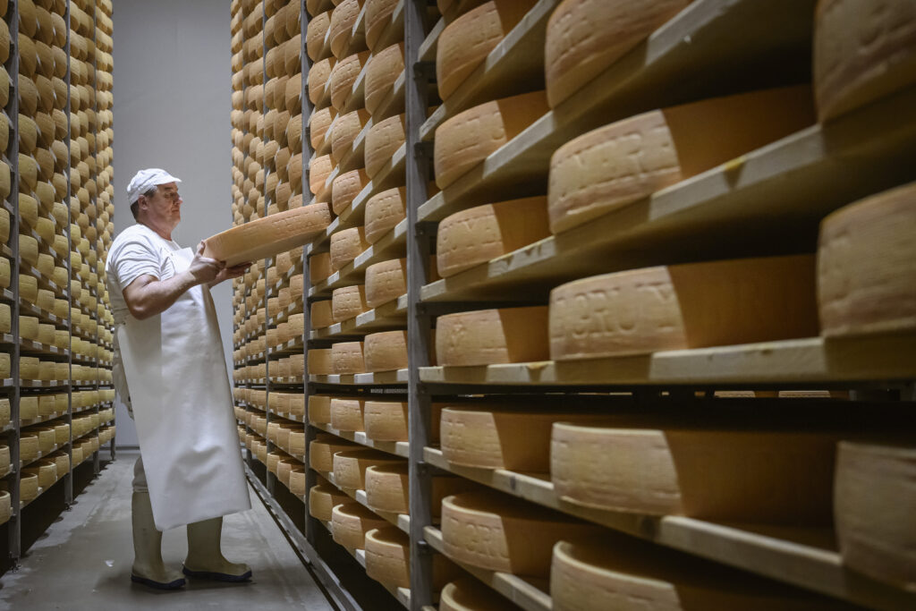 Käserei guggisberg Käse Lager
