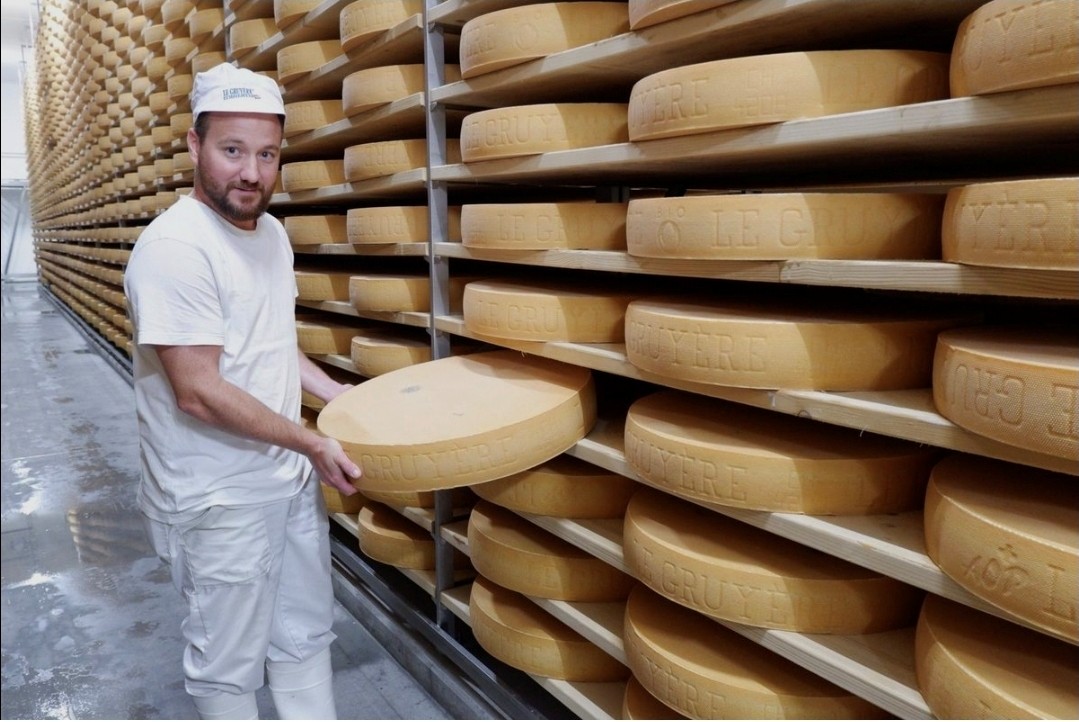 Jungo Cheese AG