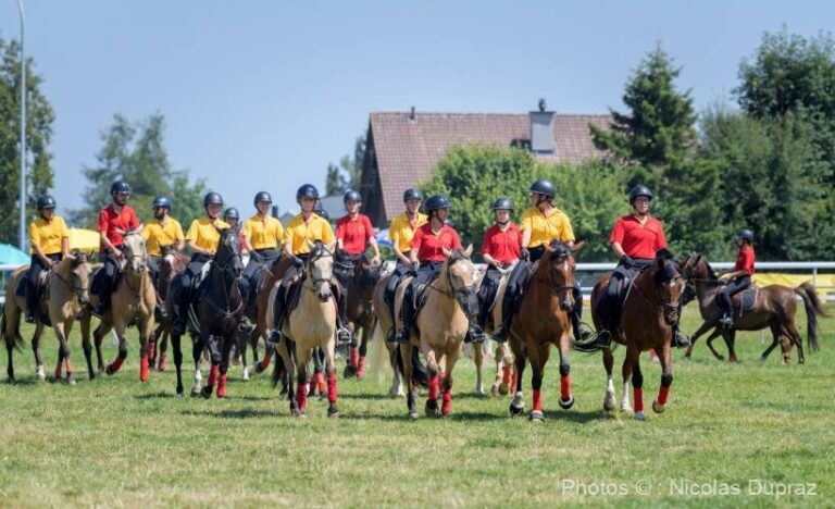 Marche Concours 2025