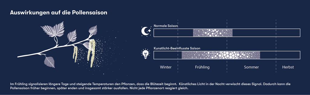 Infografik zur Verschiebung der Pollensaison, bezüglich der Lichtverschmutzung.